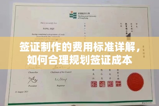 南海签证制作的费用标准详解，如何合理规划签证成本
